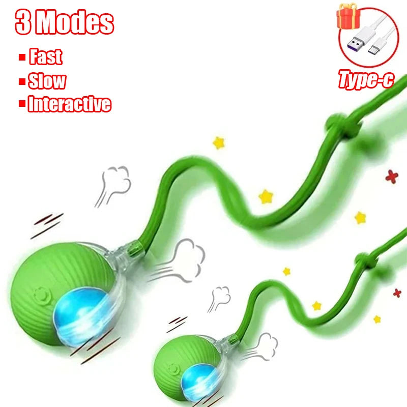 New Cat Interactive Ball  - Automatic Rolling Ball Faux Tail Rechargeable Smart Pet Electric Toy