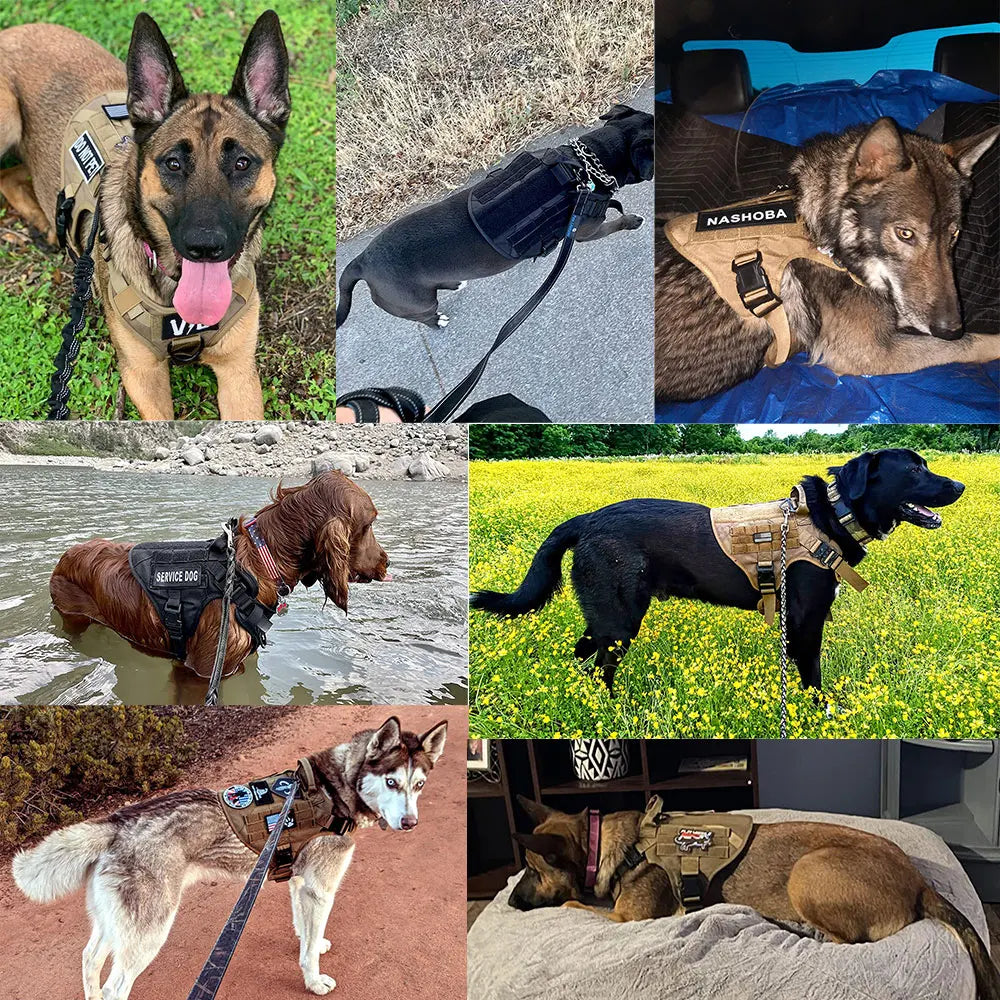 Military Dog Harness Collar Leash Bags Patches Set Training Vests