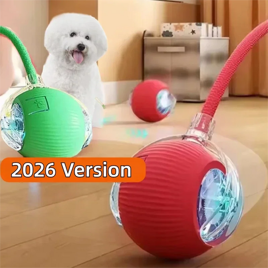 New Dog Interactive Ball Toy,Automatic Rolling Dog Ball Rechargeable,Intelligent Balls Toy for Dogs
