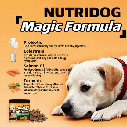 NUTRIDOG Dog Allergy Itch Relief Chews Omega-3 Vitamin C Support Skin For Dog Immune Health Supplement Nutrition 90 PCS/Bottle