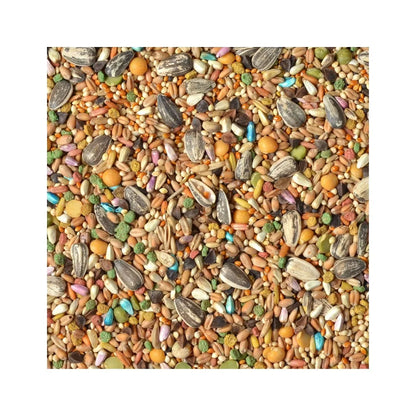 Premium Fortified Bird Food Blend for Medium and Large Parrots Cockatiels Macaws 3 Pounds