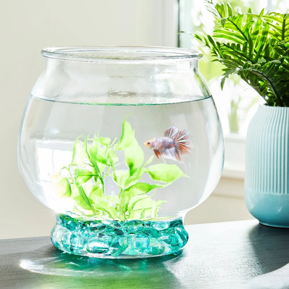 Footed Glass Fishbowl for Betta Fish 1 Gallon Round Goldfish Bowl with Plant for Home Decor