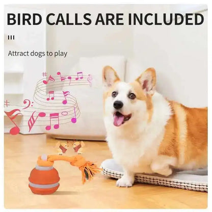 Smart Dog Toys Interactive Teasing Ball With Motion Activation