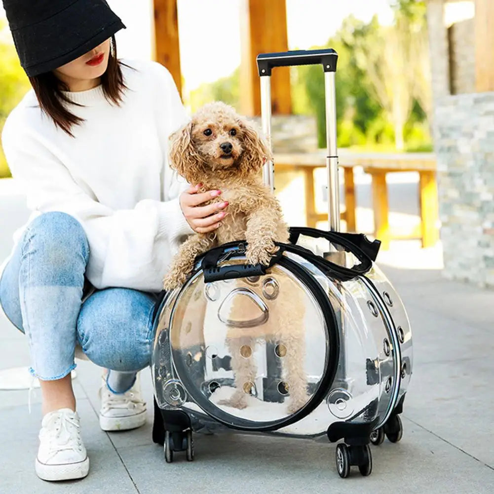 Pet Trolley Case with Ventilation Holes Portable Silent Wheels Travel Backpack for Cats