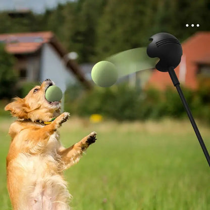 Dog Throwing Pole Tennis Ball  Launcher Training Toy